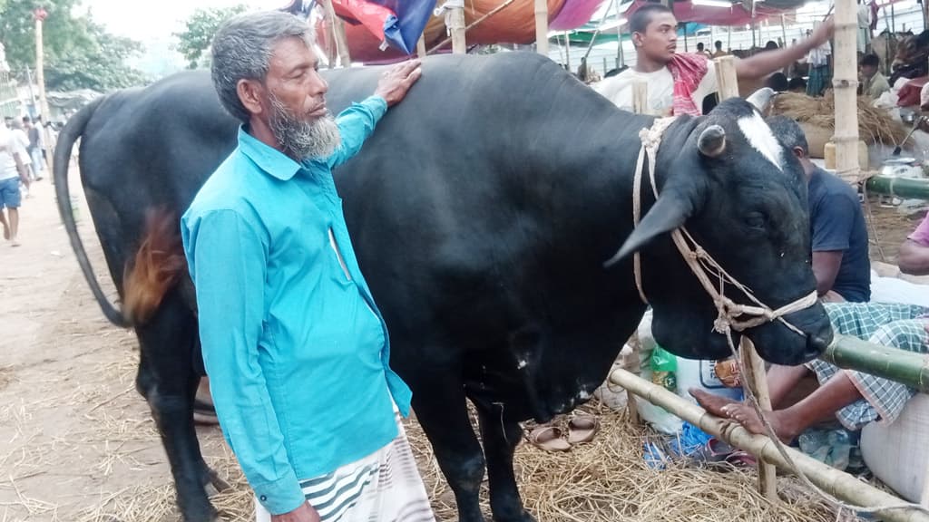 রাজধানীর হাটগুলো ভরে উঠেছে কোরবানির পশুতে, অপেক্ষা ক্রেতার 