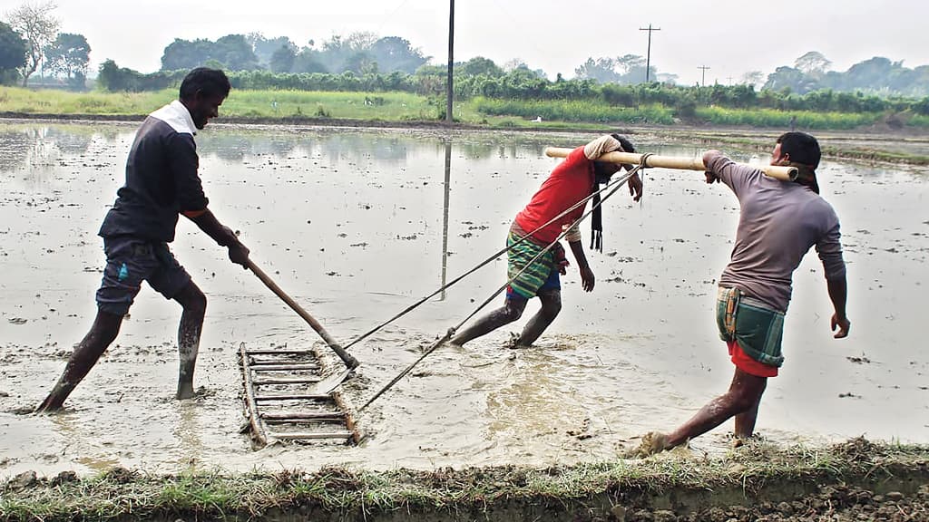 ‘যাঁদের ক্ষমতা বেশি তাঁরাই সহায়তা পাচ্ছেন’