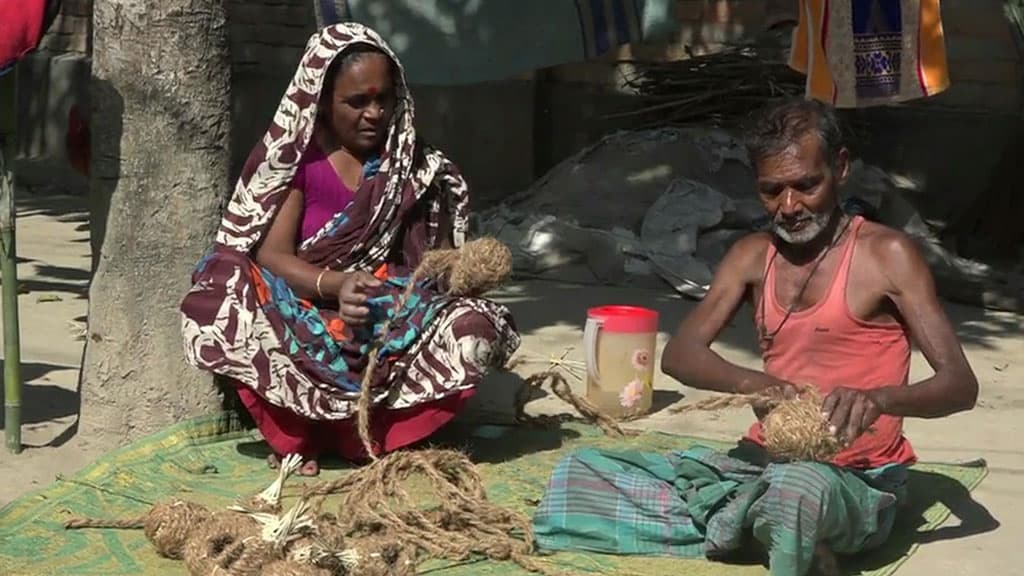 পাখির বাসা যাচ্ছে ইউরোপে