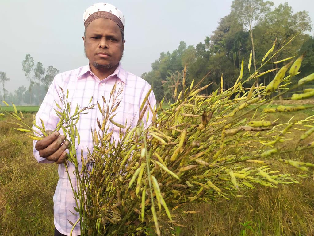 মধুপুরে জমিতে বছরে ৪ ফসল চাষে সফল স্বাস্থ্য কর্মকর্তা