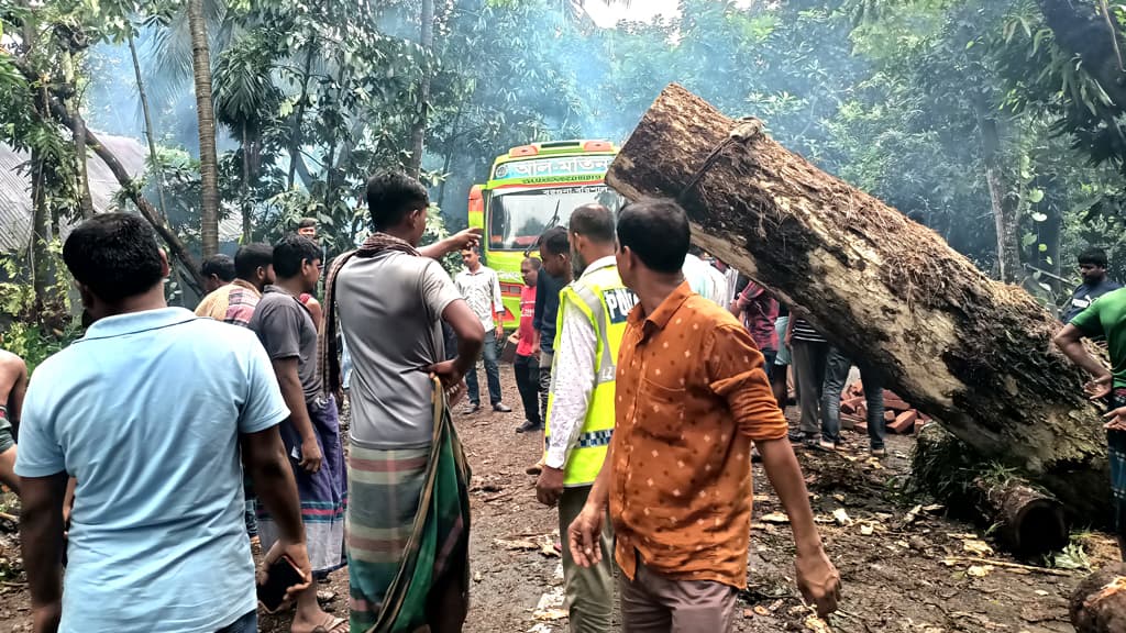 সড়কের গাছ সরাতে ৩২ ঘণ্টা পার, আটকে পড়ে শতাধিক যান 