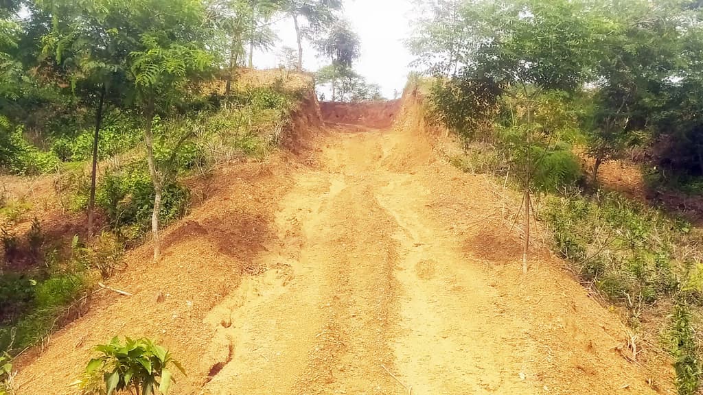 চা–বাগানের টিলা কেটে রাস্তা  জরিমানা, দুজনকে শোকজ