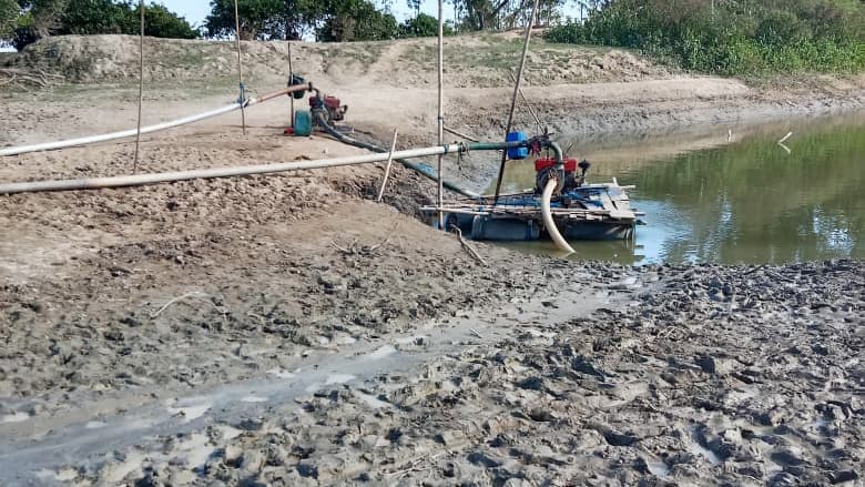 বিল শুকিয়ে মাছ নিধন, চাষাবাদ ব্যাহতের শঙ্কা