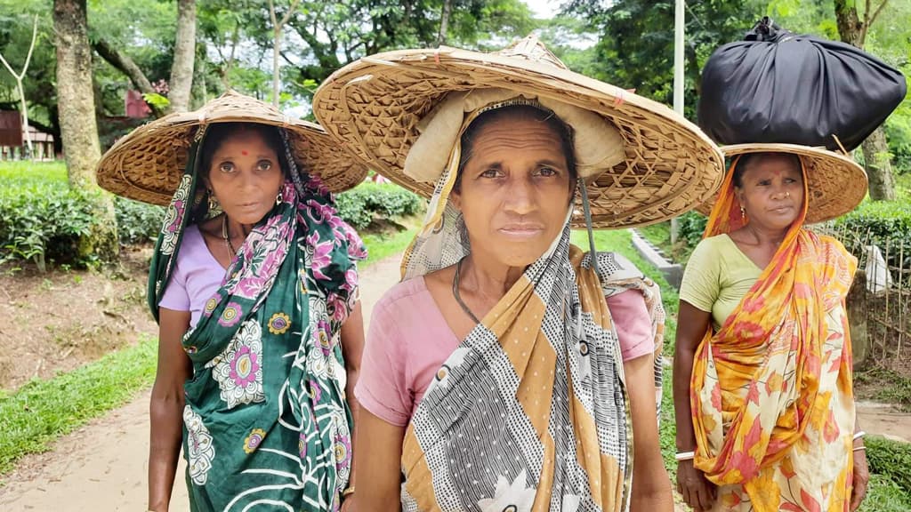 চা-বাগানের লড়াকু নারীরা