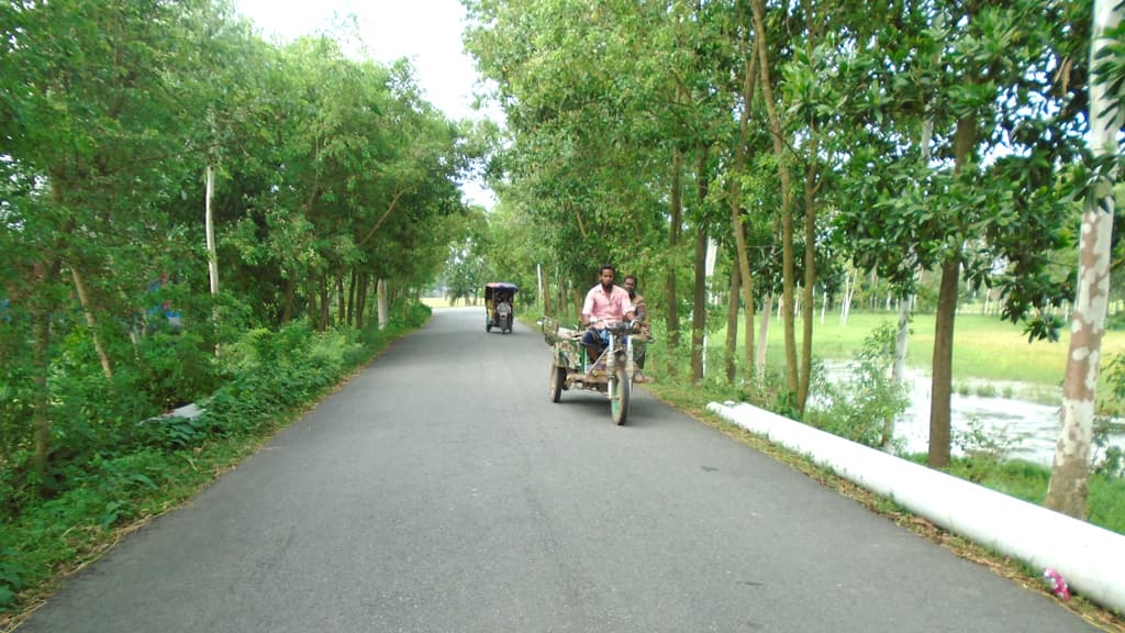 শেরপুর উপজেলার মানুষের কাছে আতঙ্কের নাম রানীরহাট সড়ক