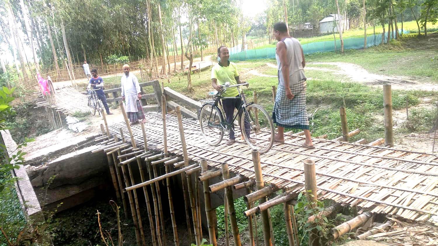 বাঁশের সাকোয় সেতু পার