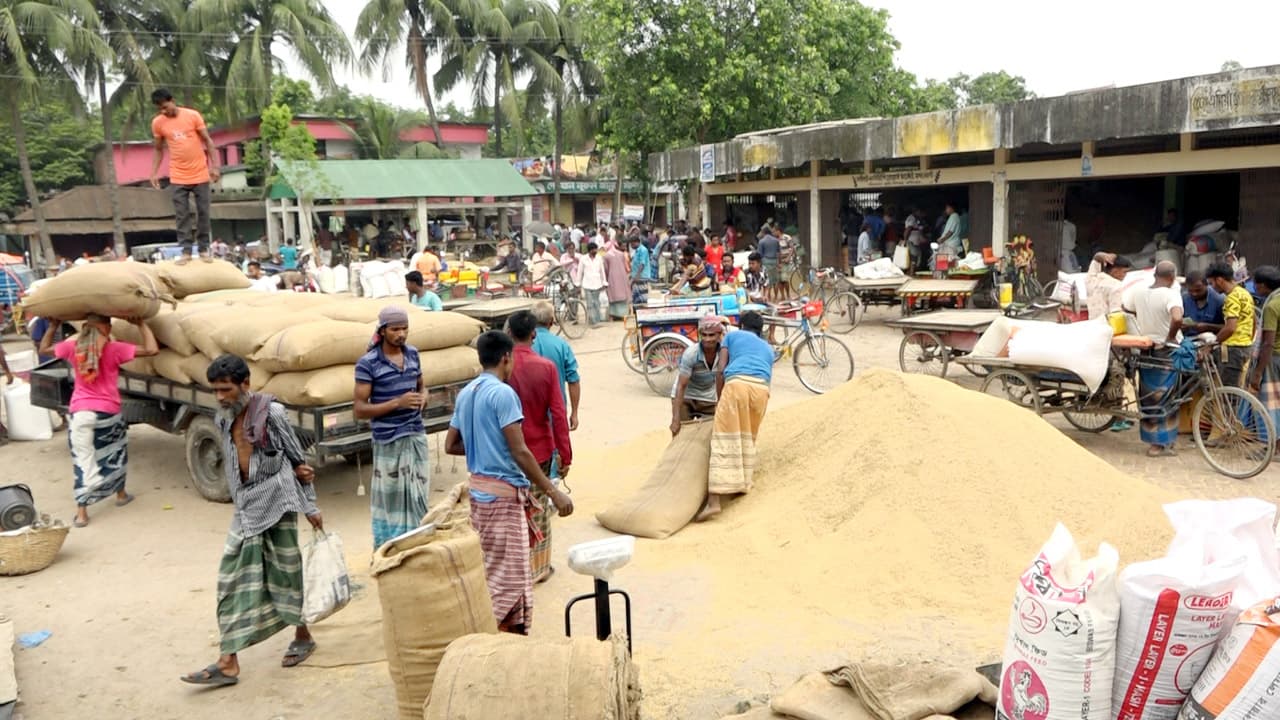 বোরো ধান সংগ্রহ হয়নি এক ছটাকও