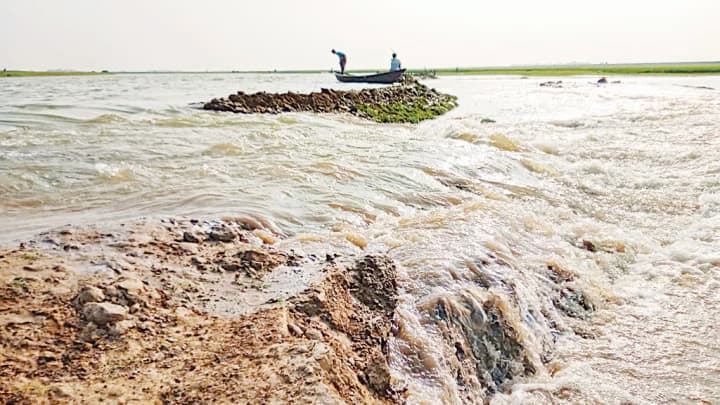 ‘হাওরে পাঁচ হাজার হেক্টর জমির ফসল তলিয়ে গেছে’