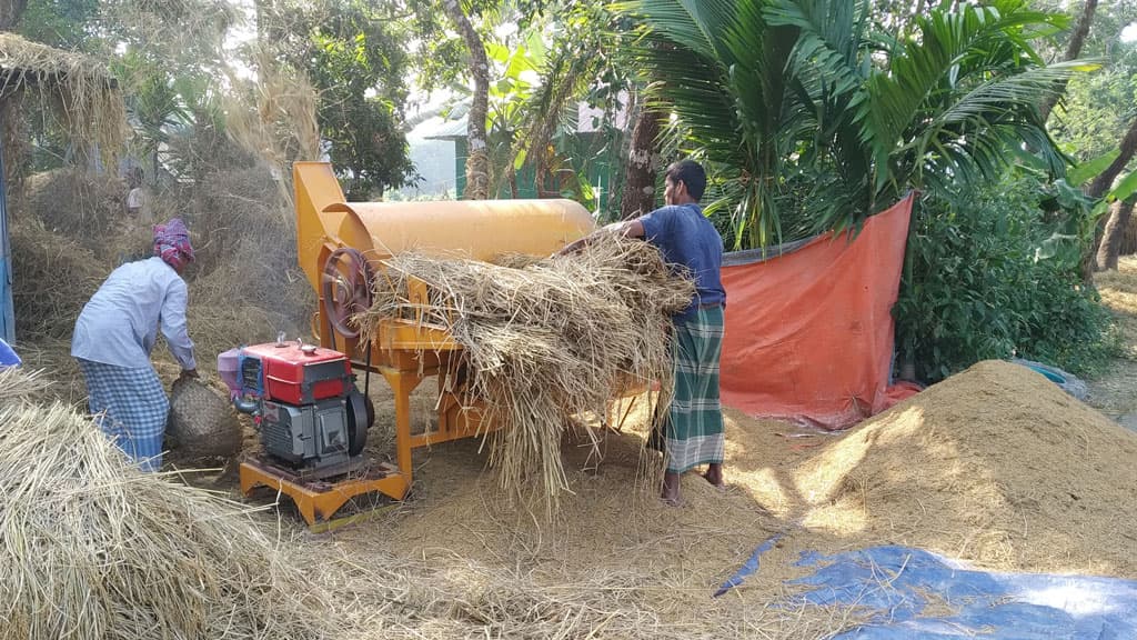 গুদামে ধান দিতে কৃষকের অনীহা