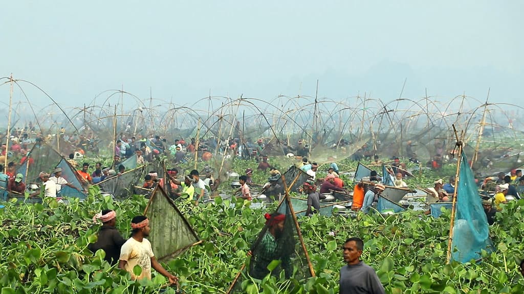 ভাঙ্গুড়ার রুহুল বিলে ‘বাউত উৎসবে’ মানুষের ঢল 