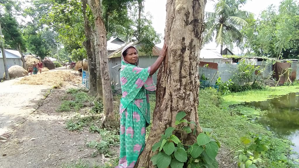 গাছের মায়ায় দুই দশক