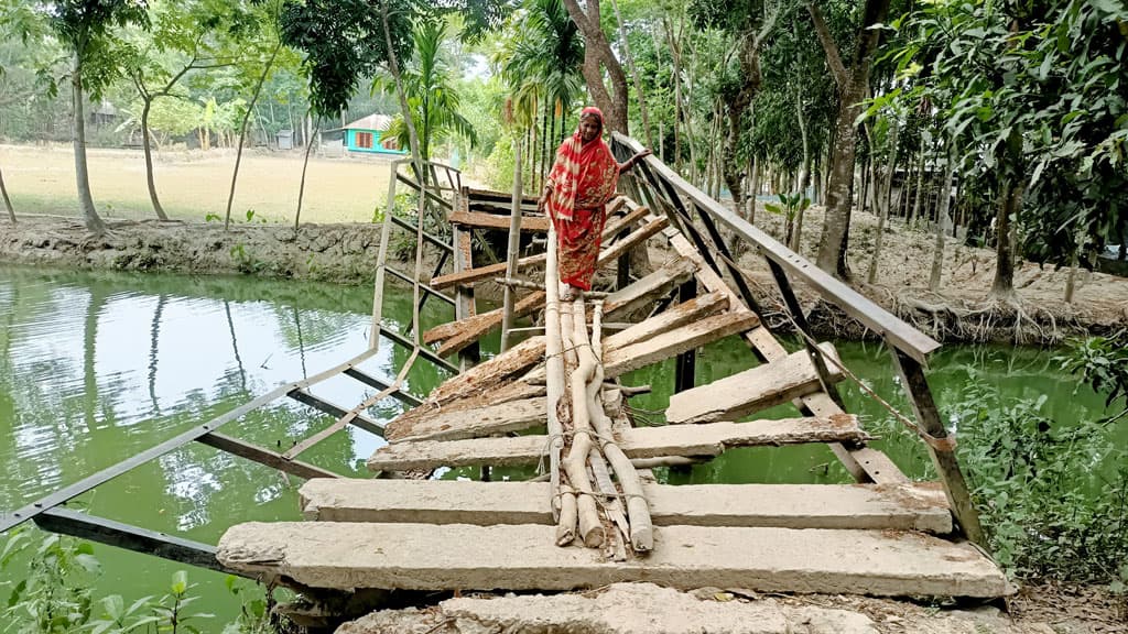 ভাঙা সেতুর ওপরে গাছ দিয়ে পারাপার