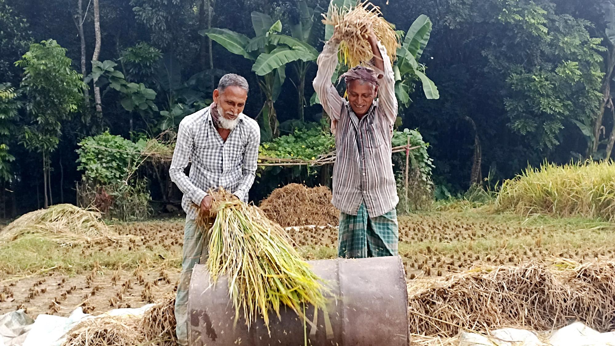 চৌগাছায় আমন ধান সংগ্রহের উদ্বোধন