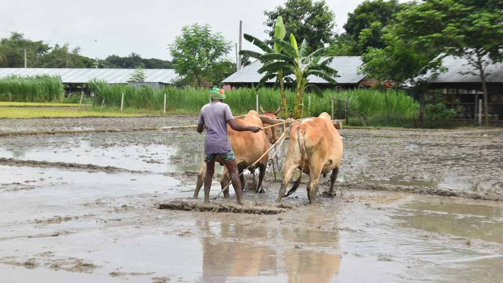 দিনের ছবি (১৬ আগস্ট, ২০২৪)