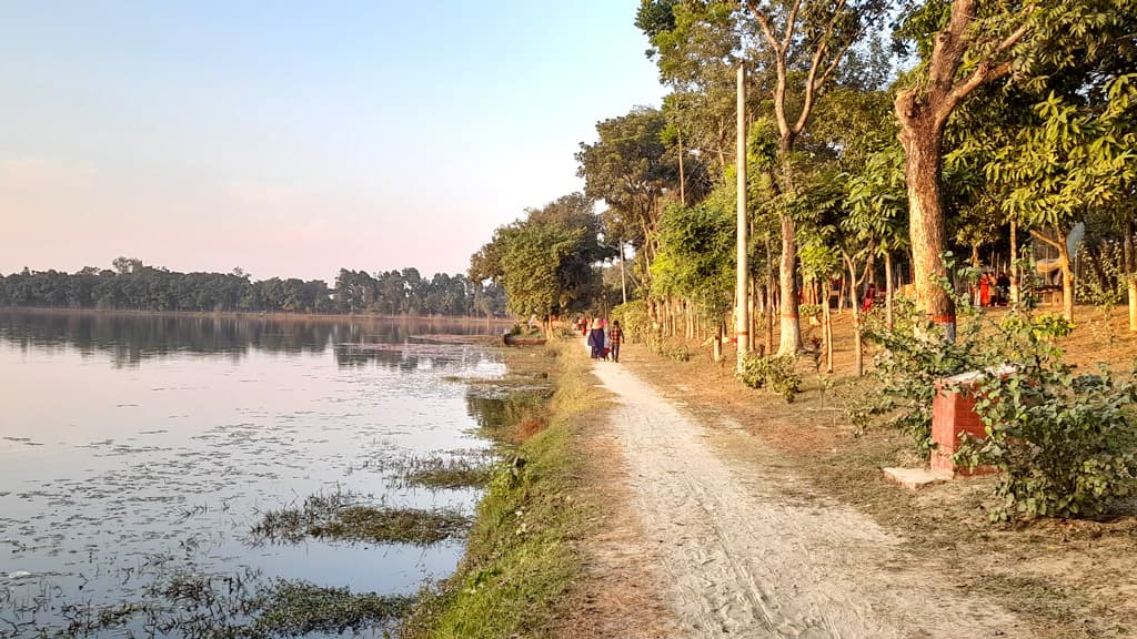 নীলসাগরে নেই পরিযায়ী পাখি