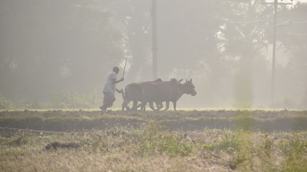 দিনের ছবি (১১ ডিসেম্বর, ২০২৩)