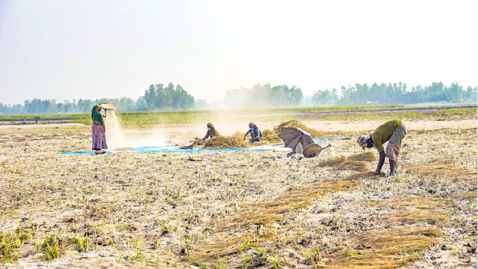 বন্যায় ক্ষতিগ্রস্ত চাষিদের ঘুরে দাঁড়ানোর চেষ্টা