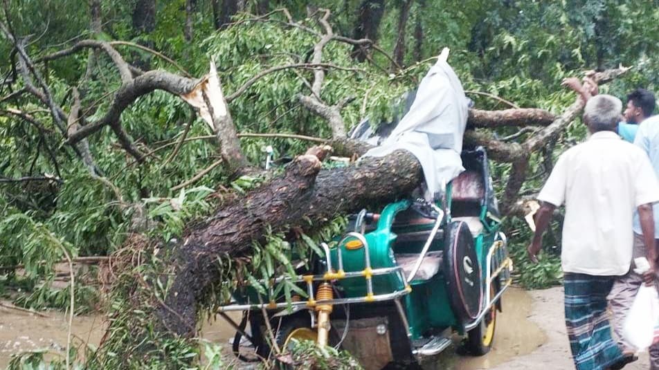 চলন্ত অটোর ওপর গাছ ভেঙে পড়ে যাত্রীর মৃত্যু