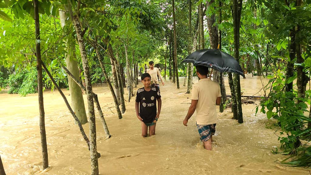 নালিতাবাড়ীতে স্রোতের তোড়ে ভেঙেছে বাঁধ, ফসলের ব্যাপক ক্ষতি