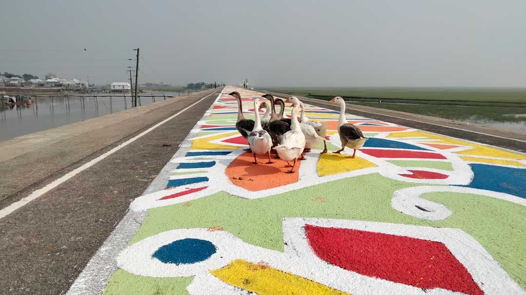 হাওরের বুকে ১৪ কিলোমিটার সড়কজুড়ে আলপনা