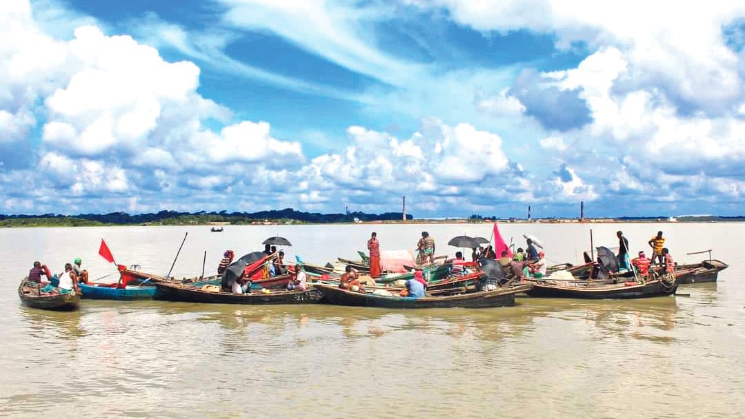 ইলিশ তবে গেল কোথায়