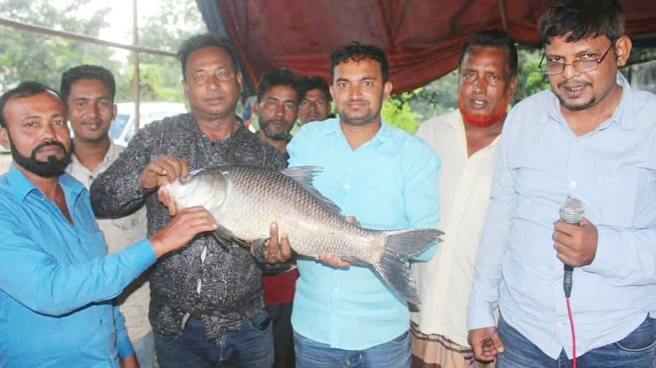 ব্রাহ্মণবাড়িয়ার সরাইলে মাছ শিকার প্রতিযোগিতা