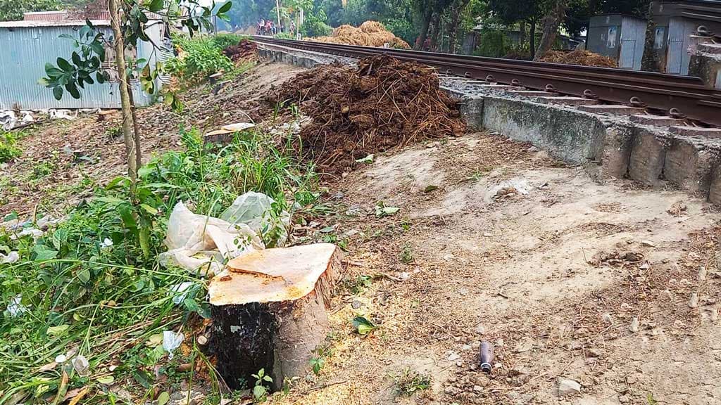 ‘রেলওয়ের বড় স্যাররা নির্দেশ দিছেন, আমি গাছ কাটছি’