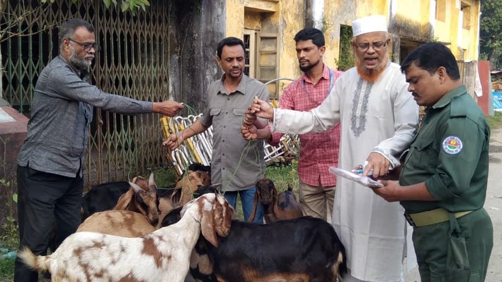 ১৫ ছাগলের এক বছরের ‘কারাবাস’, মুক্তি পেল ৯টি