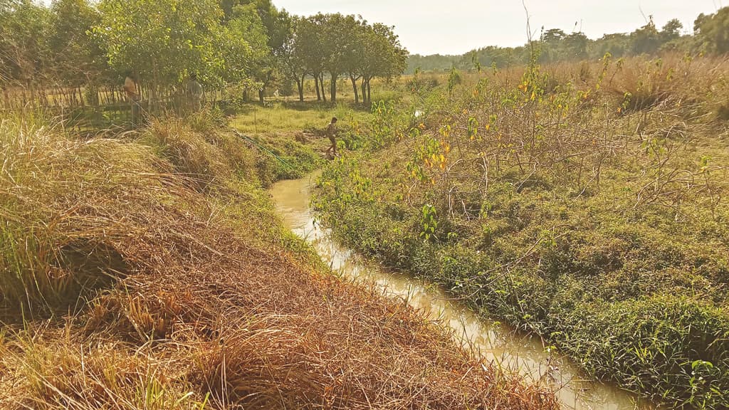 অস্তিত্ব সংকটে দেওছড়া