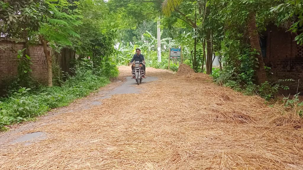 সড়কে ধান শুকানোয় ঝুঁকি নিয়ে চলাচল, ঘটছে দুর্ঘটনা