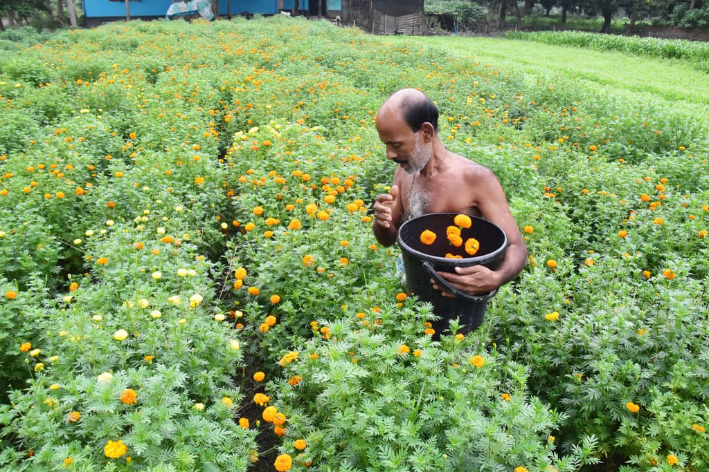 দিনের ছবি (৪ জুলাই, ২০২৩)