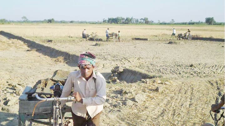 ইটভাটায় যাচ্ছে ফসলি জমির উর্বর মাটি! 