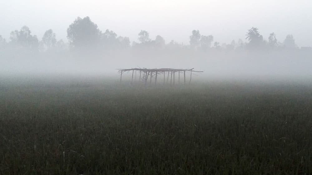 কুয়াশা আর ঘাসের ডগায় শিশির জানান দিচ্ছে শীতের বার্তা