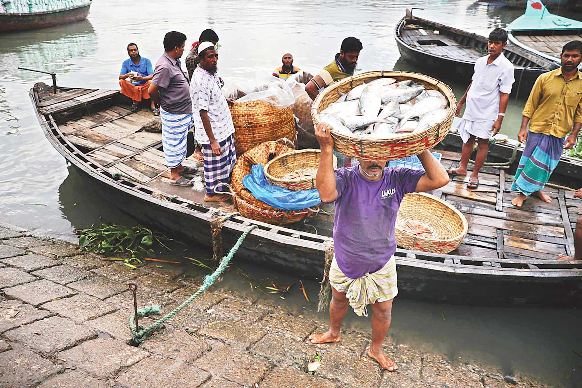 মা ইলিশকেই রক্ষা করতে হবে