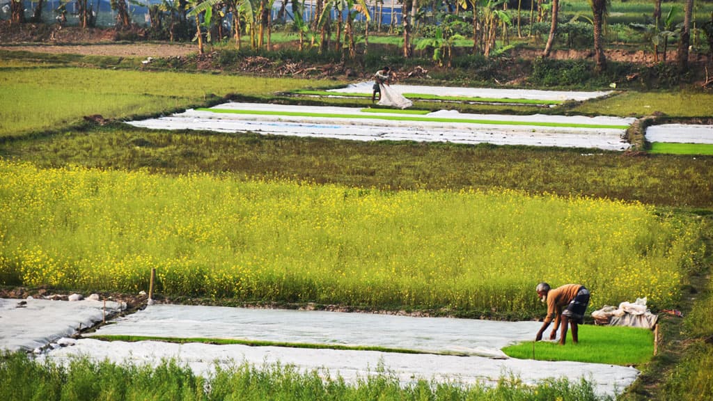 দিনের ছবি (১৮ ফেব্রুয়ারি, ২০২৪)