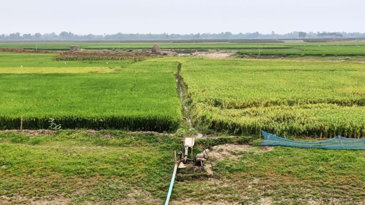 পানির স্তর নিচে নেমে যাওয়ায় বিপাকে চাষি