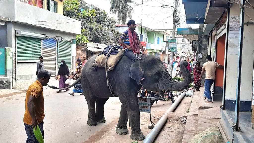 অভয়নগরে হাতি দিয়ে চাঁদাবাজি, ক্ষোভ