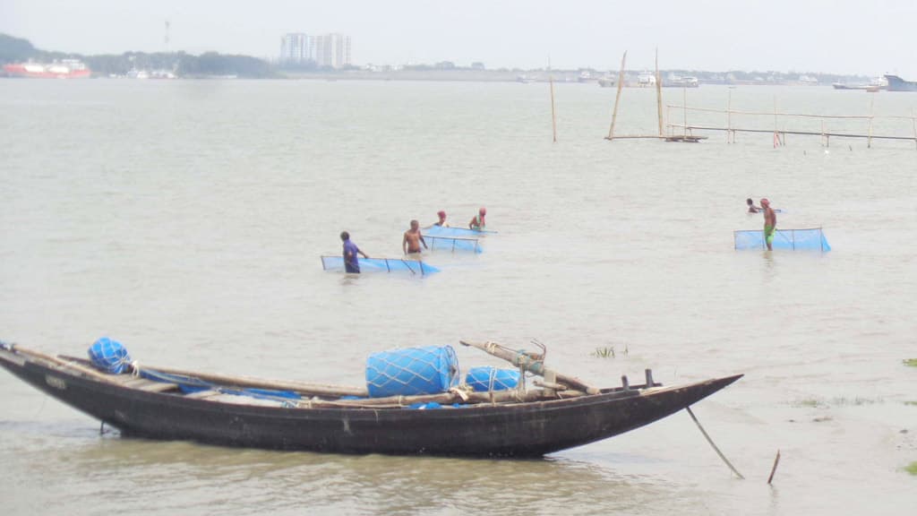 অভিযানের মধ্যেও পোনা নিধন