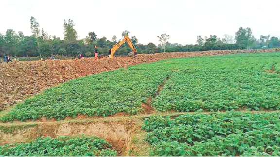 নদী বাঁচাতে গিয়ে ফসলের সর্বনাশ