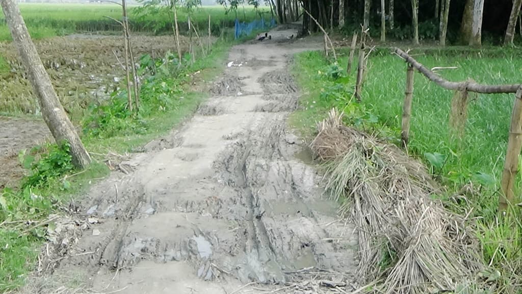 দড়িয়াপুরের মেঠো পথে লাগেনি ইটের ছোঁয়া