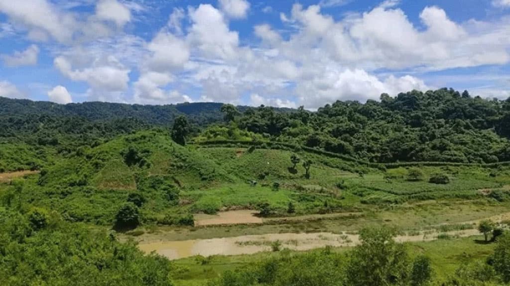 তুমব্রু সীমান্তের উত্তরে প্রচণ্ড গোলাগুলি, দক্ষিণে চোরাচালানকালে জব্দ ২৯ মহিষ