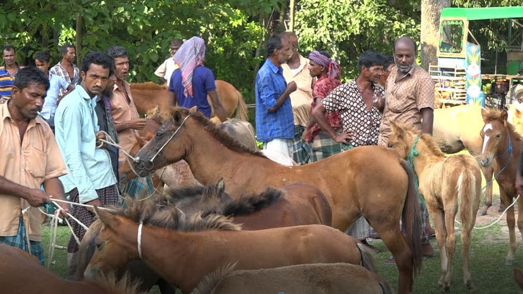 আবারও বসছে ঘোড়ার হাট