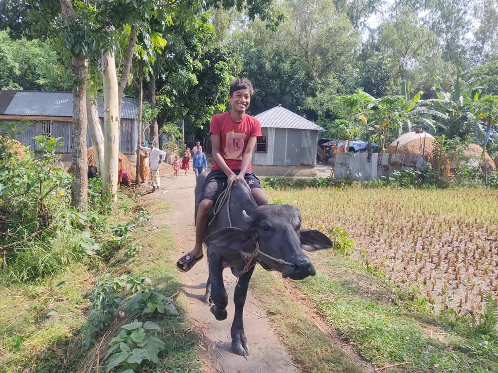 দিনের ছবি (১৭ মে, ২০২৩)