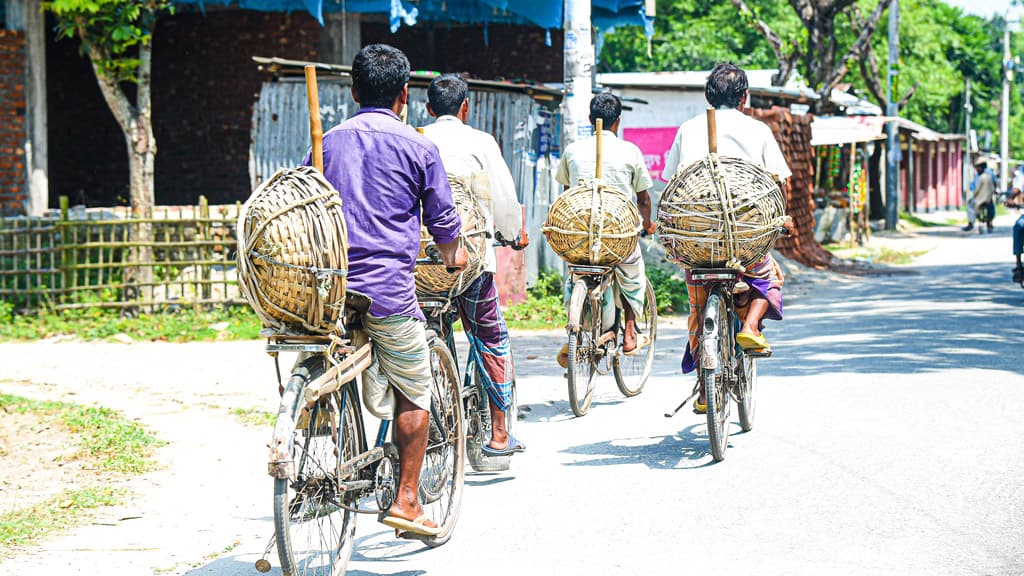 ‘দেড় মাসে কামাই হইছে মাত্র ১৩০০ টাকা’