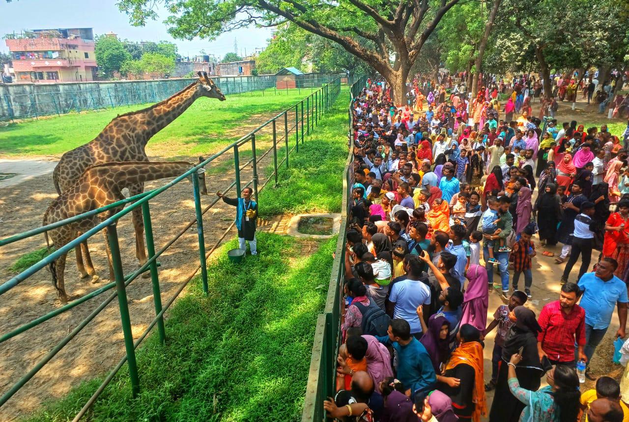 দিনের ছবি (১২ এপ্রিল, ২০২৪)