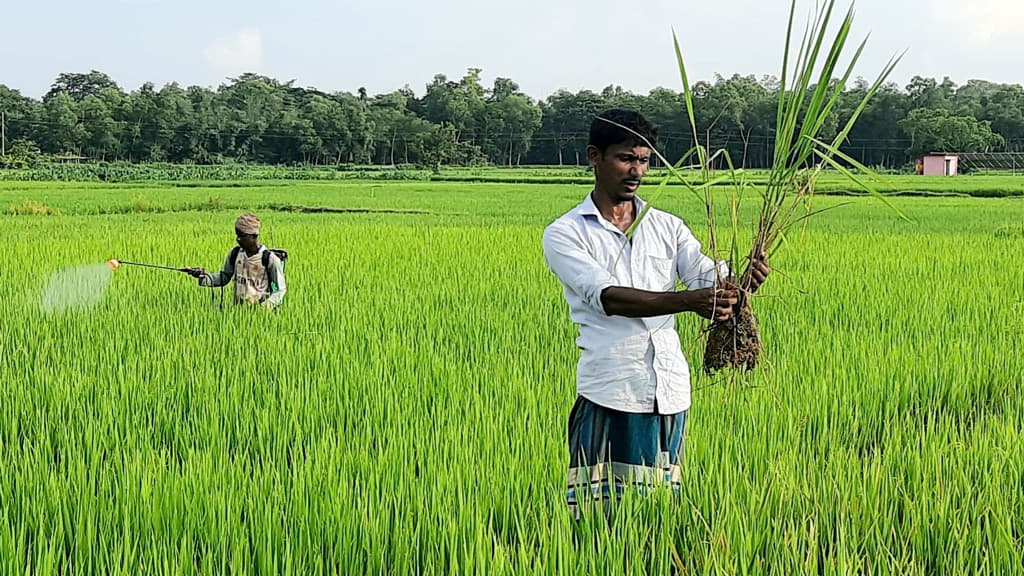 কৃষকের কপালে চিন্তার ভাঁজ