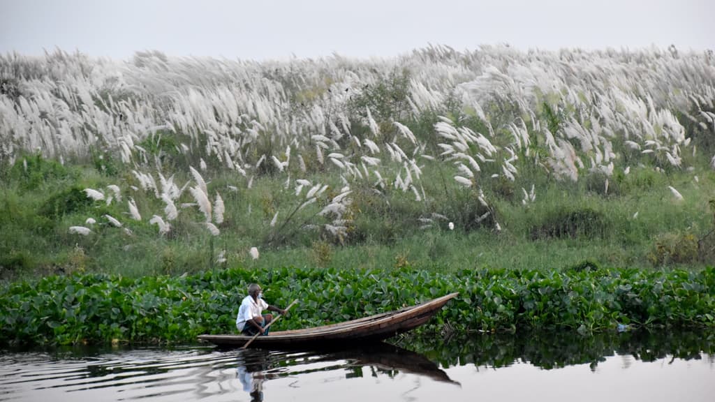 দিনের ছবি (১৩ অক্টোবর, ২০২৩)