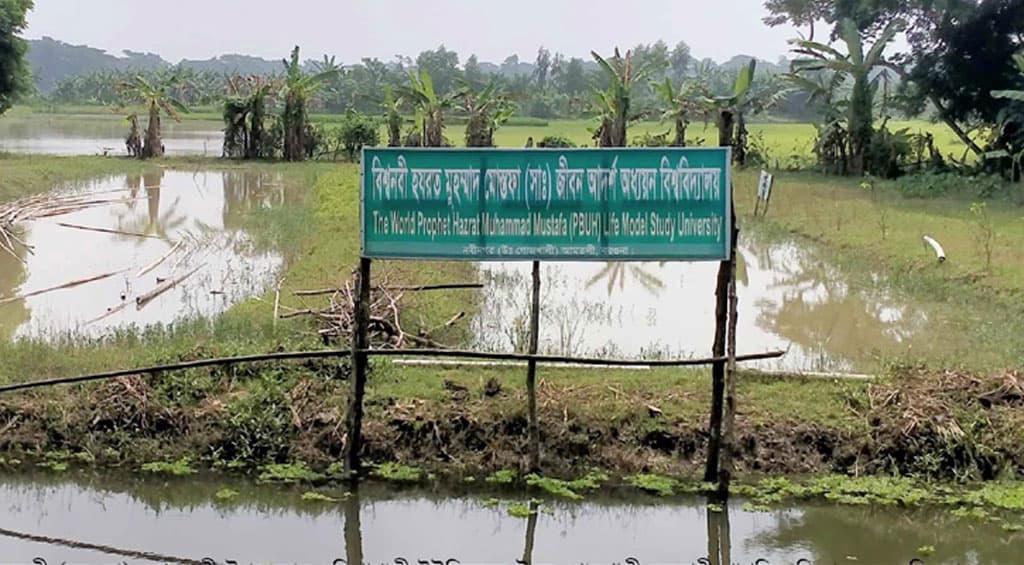 নবীজির (সা.) নামে বিশ্ববিদ্যালয় করতে আবেদন, যা বলছে ইউজিসি