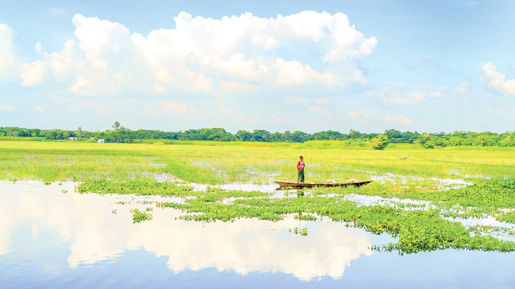 আড়িয়ল বিল রক্ষা করুন