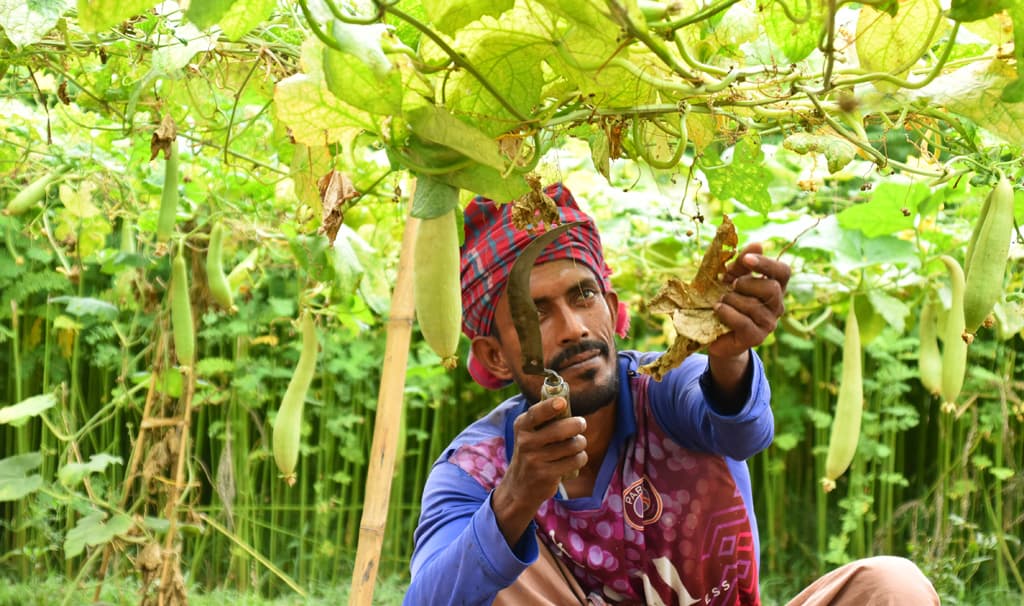 দিনের ছবি (৩০ জুন, ২০২৪)